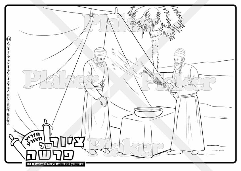 פרשת תזריע מצורע, ציור לצביעה לילדים