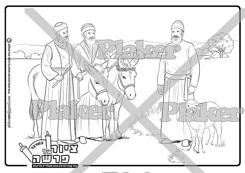 ציור לצביעה על פרשת במדבר, על ענין פדיון פטר חמור