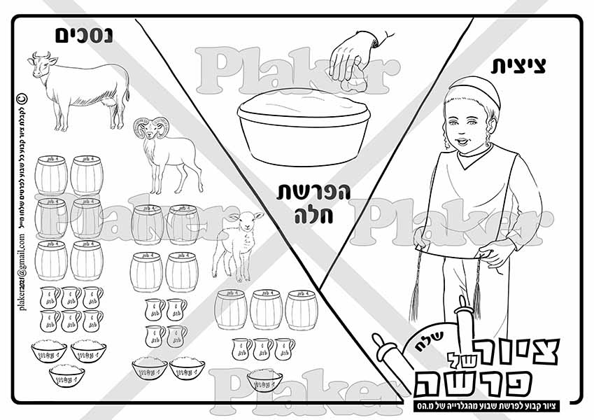 ציור לצביעה על פרשת שלח, על מצוות ציצית, מצוות הפרשת חלה, ומצוות נסכים